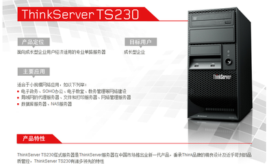 聯想TS230 S2130服務器 適合中小企業的入門級雙核塔式服務器